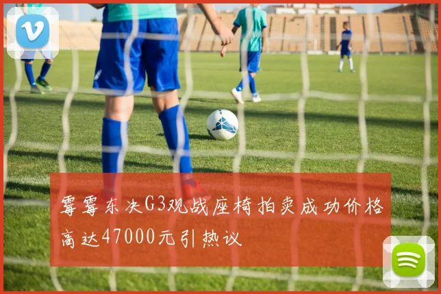 霉霉东决G3观战座椅拍卖成功价格高达47000元引热议